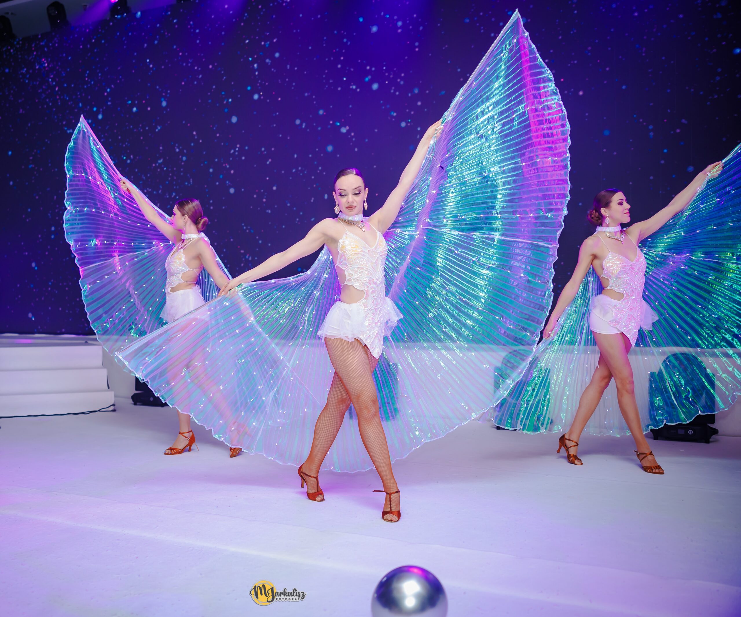LED WINGS